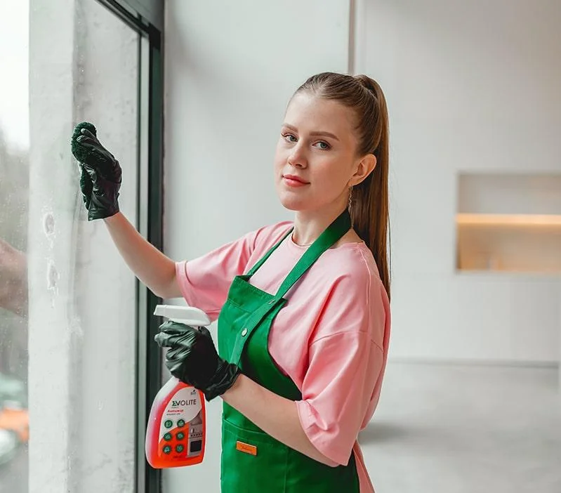 Мытье окон в Мурманске